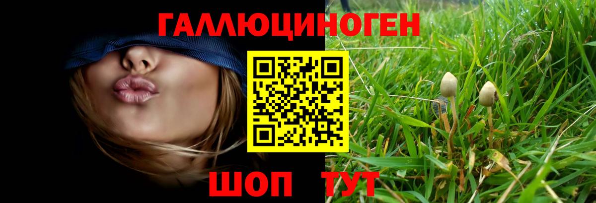 Псилоцибиновые грибы Psilocybine cubensis Архангельск